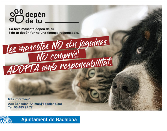 L’Ajuntament de Badalona presenta la campanya de sensibilització “Les mascotes NO són joguines”