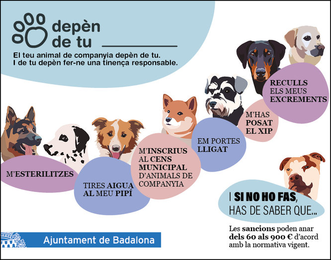 Campanya informativa per promoure una tinença responsable dels animals de companyia
