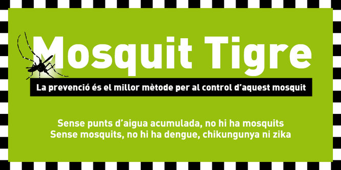 Mosquit Tigre 2022