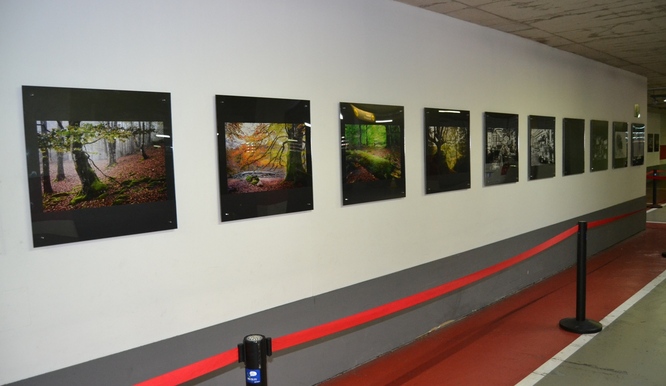 L’aparcament de l’edifici municipal El Viver acull l’exposició fotogràfica “6 Miradas”