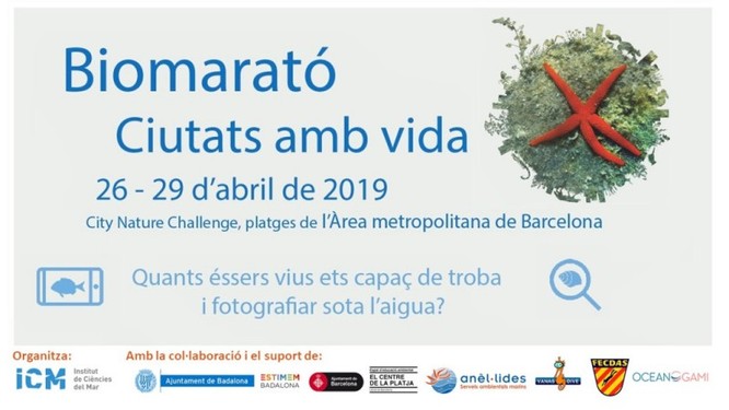 Dissabte 6 d'abril es presenta, al port de Badalona, la Biomarató-City Nature Challenge 2019 en el marc de la Fira Inicia’t