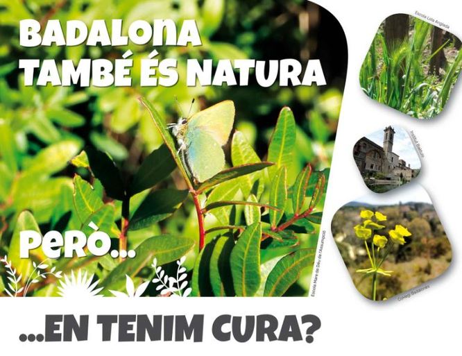 Les escoles verdes de Badalona celebren el Dia Internacional del Medi Ambient amb la presentació de la campanya “Badalona també és natura! Però... en tenim cura?”