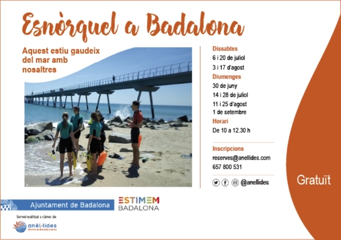 L’Ajuntament ofereix aquest estiu sortides guiades d'esnòrquel per donar a conèixer la riquesa natural de les platges de Badalona