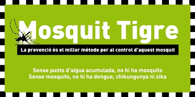 L’Ajuntament de Badalona posa en marxa la campanya de prevenció del mosquit tigre i n’amplia les zones de risc