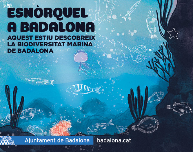 L’Ajuntament de Badalona ofereix aquest estiu sortides d'esnòrquel a la platja guiades per experts