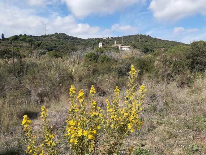La masia de Can Miravitges i l'Escola de Natura Angeleta Ferrer acullen una nova edició de 'La primavera a la serralada de Marina'