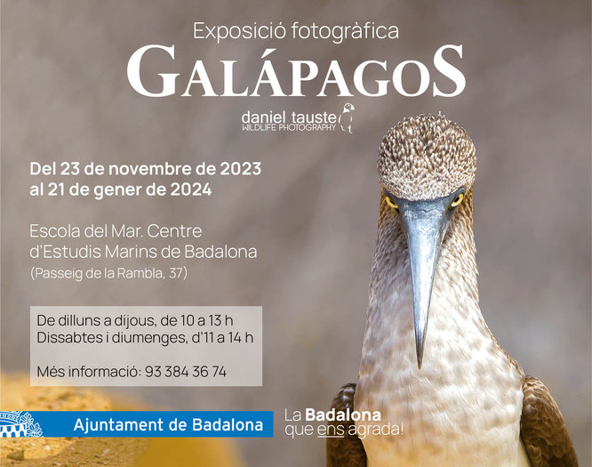 L’Escola del Mar, Centre d’Estudis Marins de Badalona, acull l’exposició fotogràfica “Galápagos” de Daniel Tauste